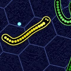Gulper.io Thumbnail game - Gulper.io